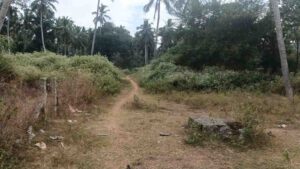 Asaripallam,Perumselvavilai, Nagercoil, Tamil Nadu 629201, India