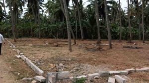 Asaripallam,Perumselvavilai, Nagercoil,Kanyakumari, Tamil Nadu, India