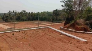 Chembelavelai, Thekanamkodu,Kanyakumari,Tamil Nadu, India.