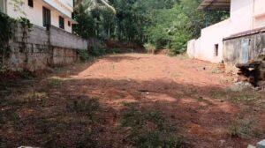 Kallutharai,Palappallam,Kanyakumari,Tamil Nadu, India.