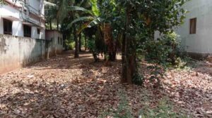 Pampanvilai,Near VIP GARDEN, Nagercoil ,Kanyakumari,Tamil Nadu, India