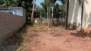 Paruthivilai, 50' from Pazavelai to Rajakamankalam main road , Nagercoil ,Kanyakumari,Tamil Nadu, India