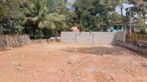 Peyankuzhi,Thuckalay,Kanyakumari,Tamil Nadu, India.