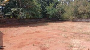 Thingal Nagar,Kanyakumari,Tamil Nadu, India.