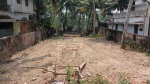 Vannanvilai,Colachel,Kanyakumari,Tamil Nadu, India.