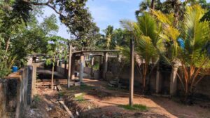 Arudesam, Nithiravilai, Tamil Nadu, India.