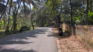 Kadatti ,Thalakkulam, Tamil Nadu 629809, India