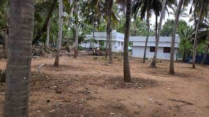 Padarnilam , Manavala kurichi, Kanniyakumari, Tamil Nadu, India