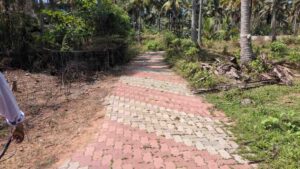 Patten Vilai, Eraniel, Kanyakumari, Tamil Nadu, India.