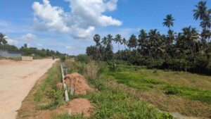 In front of 4 way road Authivilai, Eraniel, Kanyakumari, Tamil Nadu, India