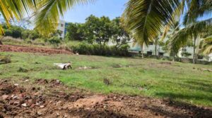 Near Stella Marys college, Ganapathipuram, Rajakamankalam, Kanyakumari , Tamilnadu ,India