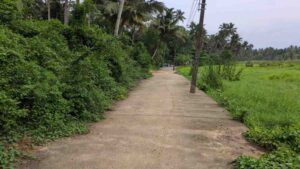 Near Valliyaru Bridge, Eranie, Kanyakumari , Tamilnadu ,India