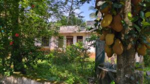 Chemmanvilai, Appattuvilai, Thuckalay, Kanyakumari , Tamilnadu ,India