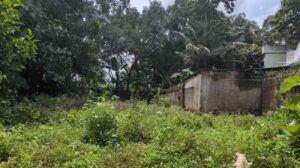 Palliyadi, near Railway Station