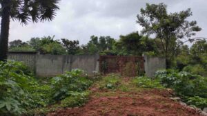 Kurunthancode, Kanniyakumari , Tamil Nadu ,India