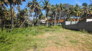 Gnarode, Eraniel,Kanyakumari,Tamil Nadu, India