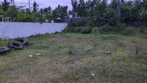 Kadatti, Colachel,Kanyakumari,Tamil Nadu, India