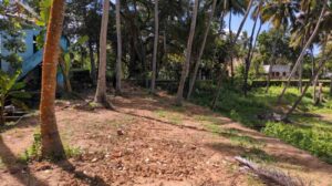 Kadatti, Colachel,Kanyakumari,Tamil Nadu, India