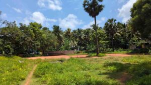 Kollai,Monday Market Road,Thukalay, Kanyakumari,Tamil Nadu, India