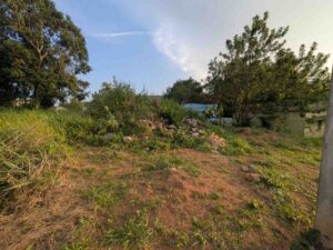 Kozhiporvilai,Kanyakumari,Tamil Nadu , India