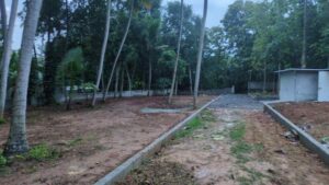 Kunnathoor,Marthandam,Kanyakumari, Tamil Nadu,India.