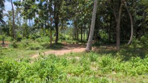 Manakkarai, Villukuri Rd,Kanyakumari, Tamil Nadu, India