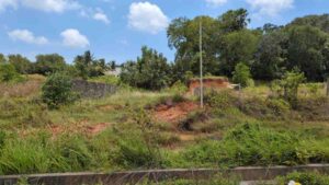 Manakkarai, Villukuri road,Kanyakumari,Tamil Nadu, India