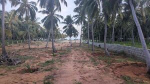 Manakudy, Kanniyakumari , Tamil Nadu ,India
