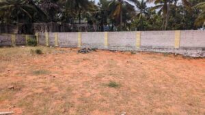 Thengamputhur, Kanyakumari,Tamil Nadu,India.