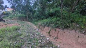 Thingalnagar, Kanyakumari,Tamil Nadu, India