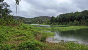 Thiruvattaru, Marthandam,Kanyakumari,Tamil Nadu,India.