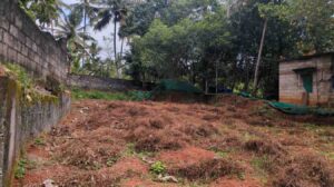 Thiruvithankodu, Kanyakumari,Tamil Nadu , India