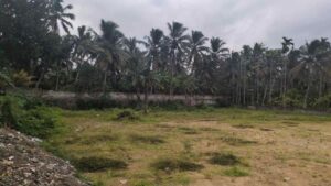 Thuckalay, Kanyakumari, Tamil Nadu, India