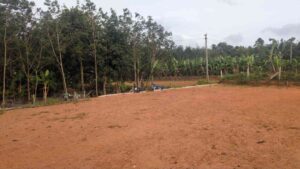 Thuckalay,Kanyakumari,Tamil Nadu, India