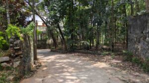 Vandavilai, Thuckalay,Kanyakumari,Tamil Nadu, India