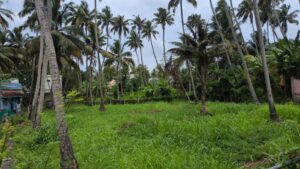 Patten Vilai, Thuckalay,Kanyakumari,Tamil Nadu,India