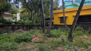 Kumaracoil, Kanyakumari,Tamil Nadu, India.