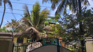 Thiruvithamcode, Kanyakumari,Tamil Nadu, India.