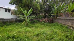 Thuckalay, Kanyakumari,Tamil Nadu,India.