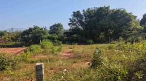 Vellimalai, Kanyakumari,Tamil Nadu,India