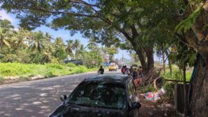 Villukuri, Kanyakumari,Tamil Nadu,India.