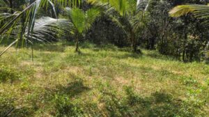 Azhakiyamandapam,Kanyakumari,Tamil Nadu, India