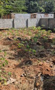 Chithirankodu,Kanyakumari, Tamil Nadu, India