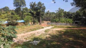 Eathavilai,Kanyakumari, Tamil Nadu , India