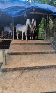 Kumarapuram, Kanyakumari,Tamil Nadu, India