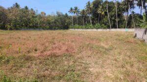 Manalikarai, Kanyakumari,Tamil Nadu, India