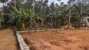 Maruthoorkurichi,Kanyakumari,Tamil Nadu, India