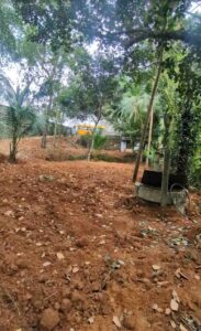 Mulagumoodu,Kanyakumari, Tamil Nadu, India