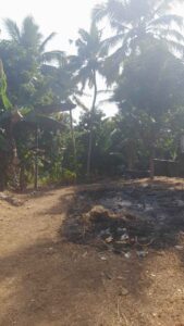 Kuzhithurai, Kanyakumari,Tamil Nadu,India