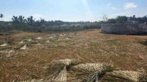 Mathavalayam,Kanyakumari,Tamil Nadu, India
